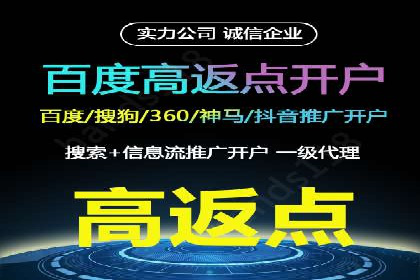 案例分析：SEM广告助力电商行业突破
